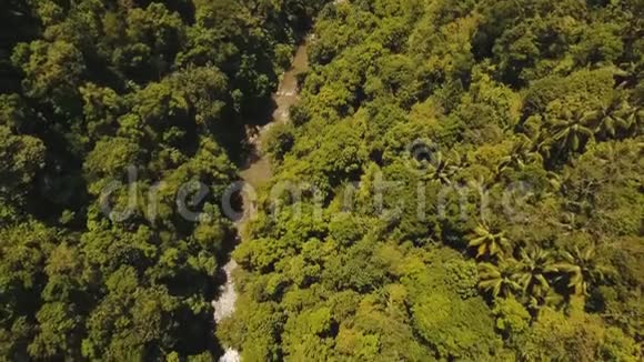 印度尼西亚巴厘岛雨林中的河流视频的预览图