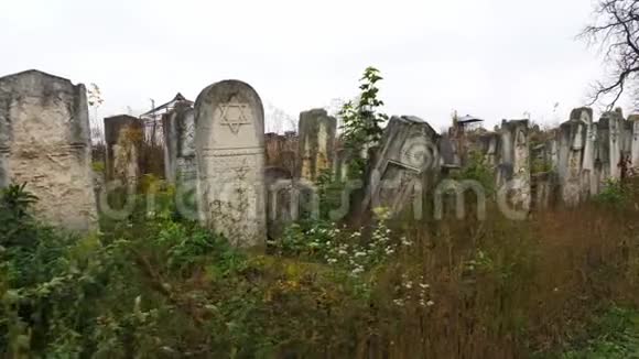 废弃的犹太人墓地视频的预览图
