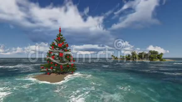 在温暖的海洋里的圣诞树视频的预览图