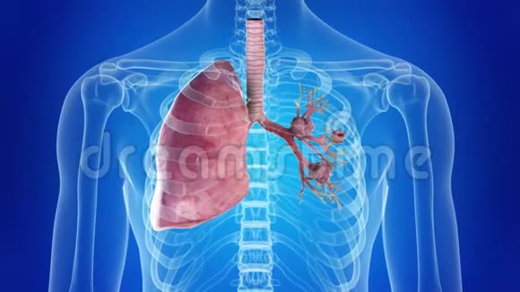 肺癌视频的预览图