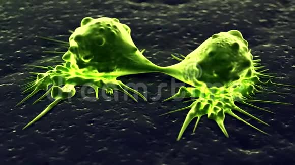 一个癌细胞视频的预览图