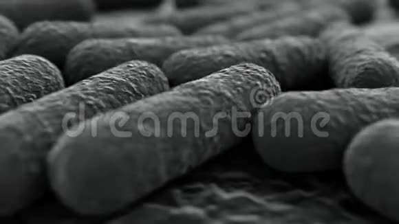 4K微观观察细菌菌落视频的预览图