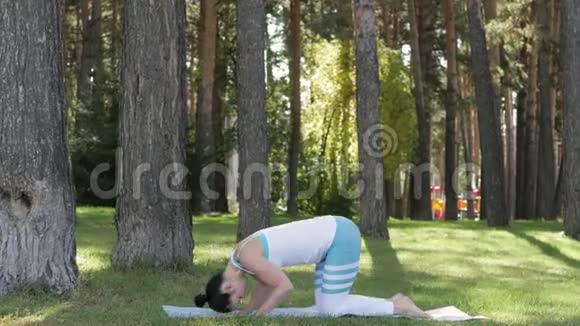 年轻女子在公园露天做瑜伽健康的生活方式视频的预览图