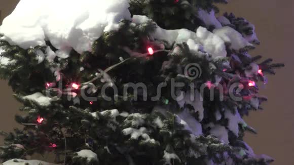 树在冬天的雪视频的预览图