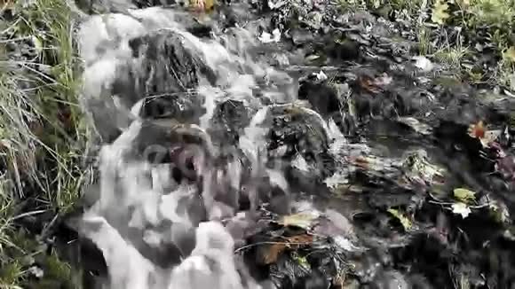 秋天湖附近的急流视频的预览图