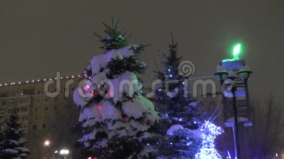 树在冬天的雪视频的预览图