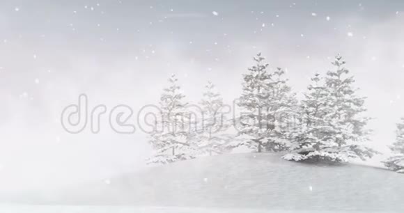 傍晚降雪时的冬季季节性景观视频的预览图
