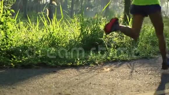 在森林小径上奔跑的女人视频的预览图