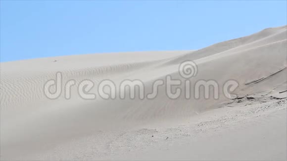 沙漠视频的预览图