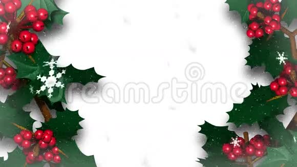 圣诞冬青藤伴雪花飘落视频的预览图