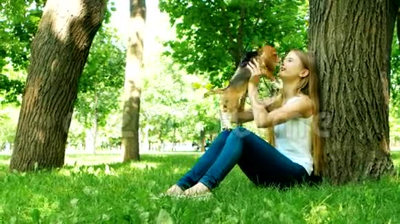 女孩在夏天公园玩她的小猎犬视频的预览图