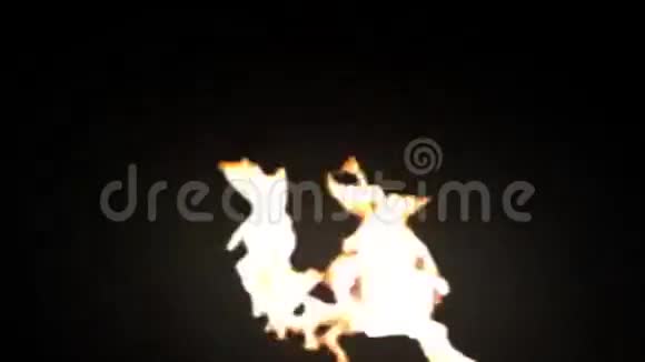 透明背景的火炬视频的预览图