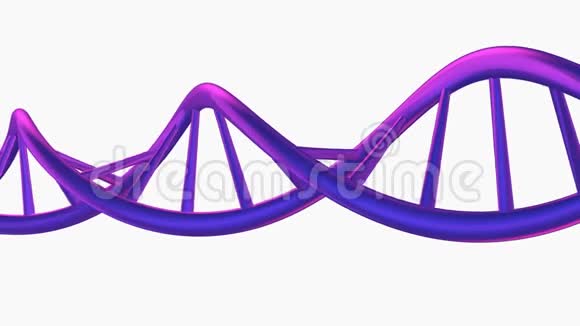 在白色上以紫色旋转DNA螺旋视频的预览图