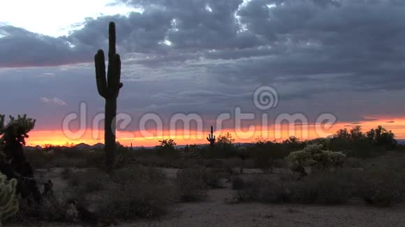 亚利桑那沙漠日落视频的预览图