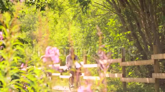 快乐的一对夫妇骑着自行车在夏季公园视频的预览图