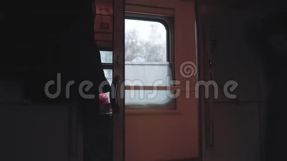 概念火车旅程旅行从火车窗口观看美丽的火车旅行生活方式俄罗斯冬季视频的预览图