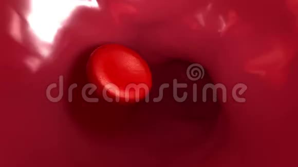 单个红细胞通过毛细血管循环视频的预览图