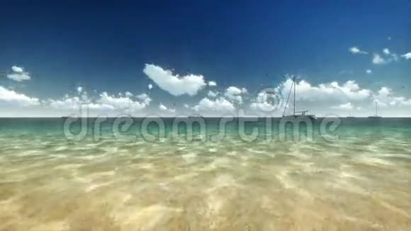 时光流逝的云相机飞翔的游艇和海鸥视频的预览图