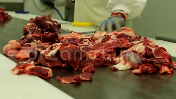 在工厂里切碎生肉视频的预览图