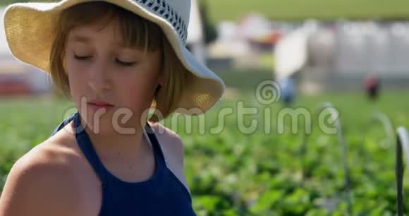 在农场摘草莓的女孩视频的预览图
