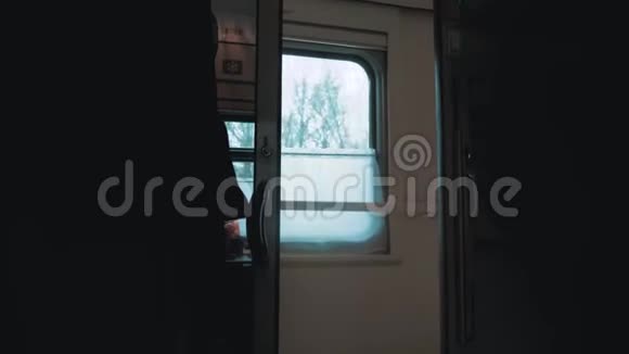 概念火车旅程旅行美丽的景色从窗口的生活方式移动火车铁路旅行俄罗斯冬季视频的预览图