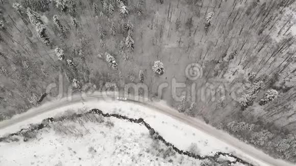 空中观雪树视频的预览图