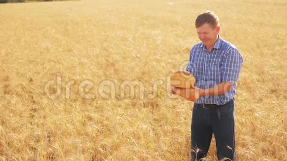 老农夫面包师拿着一个金色的面包和面包在成熟的麦田生活方式慢动作视频收获时间老了视频的预览图