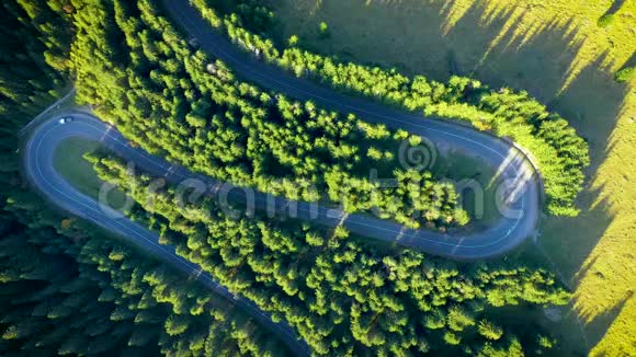 从无人驾驶飞机上俯瞰绿色森林和蜿蜒的道路视频的预览图