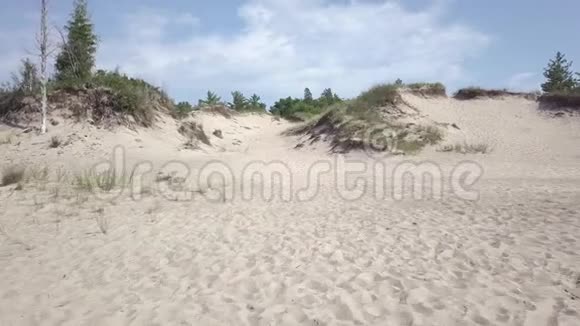 沙丘沙滩沙滩鸟瞰4k视频的预览图