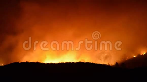 夜间大森林火灾时间的推移视频的预览图