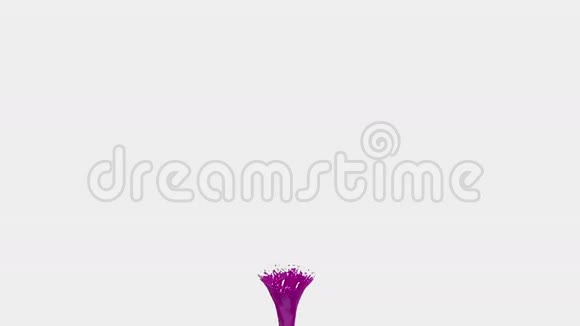 紫色液体龙卷风漂亮的彩色颜料旋转孤立透明的液体旋涡如旋风三维动画视频的预览图