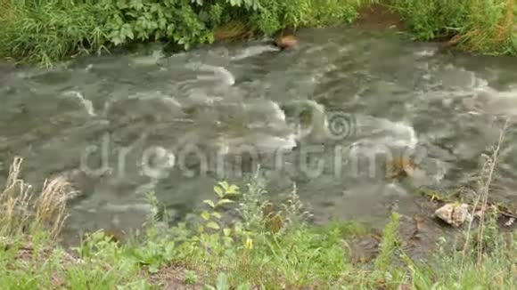 自然界的水河流视频的预览图