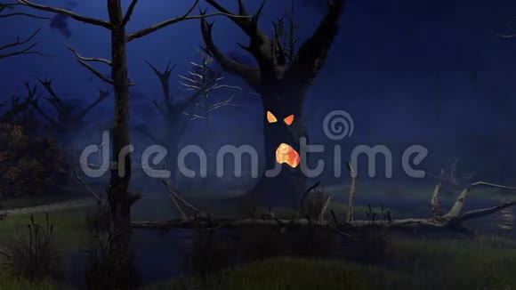 晚上4K沼泽上神奇的恐怖树视频的预览图