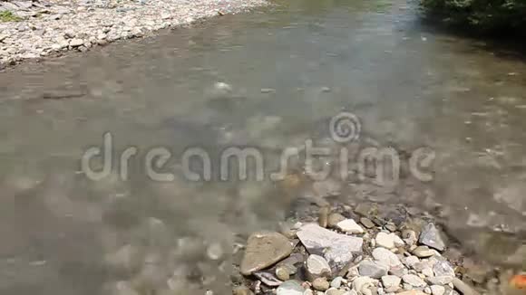 溪流视频的预览图