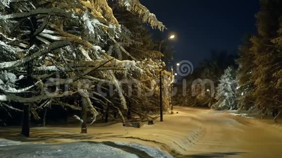 傍晚冬季公园灯光视频的预览图