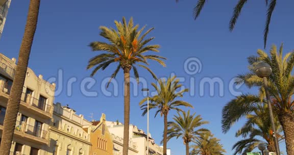 太阳光棕榈湾锡特酒店4k西班牙视频的预览图