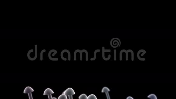 加速模拟拍摄抽象蘑菇生长视频的预览图