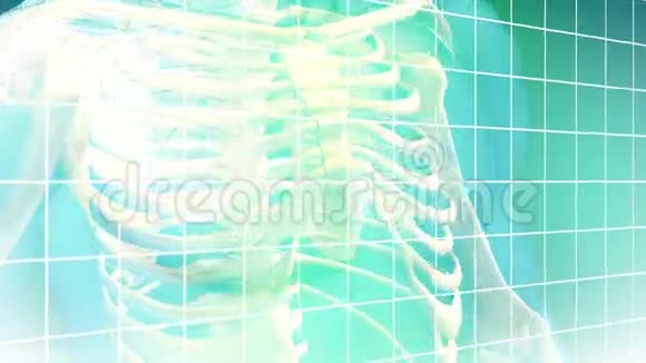 医学背景动画2视频的预览图