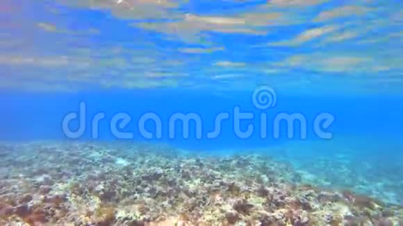 马耳他的岩石水下暗礁视频的预览图