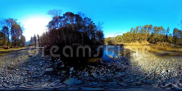 360VR虚拟现实的一片野山松林和河流流淌国家公园草地和阳光视频的预览图