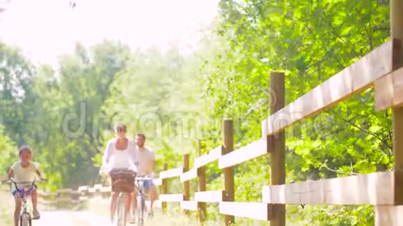 夏日公园骑自行车的快乐家庭视频的预览图
