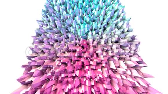 抽象简单的蓝色粉红色低聚三维表面和飞行白色晶体作为优雅的背景软几何低聚视频的预览图