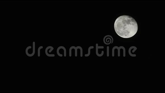 月亮月光月光视频的预览图