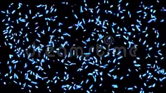 摘要点微细菌孢子虫背景线虫昆虫背景视频的预览图