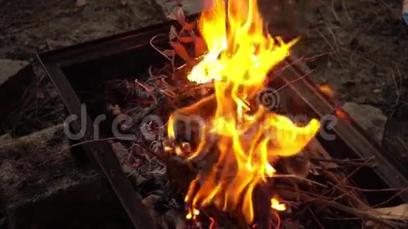 烧烤煤火视频的预览图
