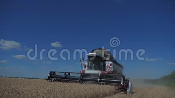联合收割机收割小麦慢动作视频生活方式农业收获概念田间联合收割视频的预览图