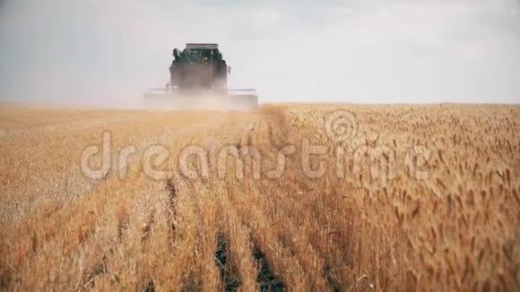 联合收割机收割小麦小麦收获剪领域的组合食品行业理念视频的预览图