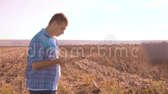 农民聪明的农业工人读书或分析收获向日葵在农业领域平板电脑上的报告视频的预览图
