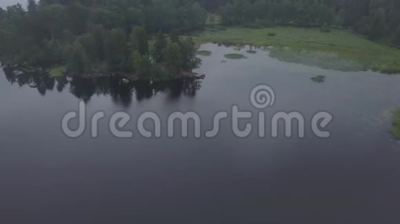 在维堡的MonRepos公园进行空中旅行空中勘测北部陆地空中森林视频的预览图