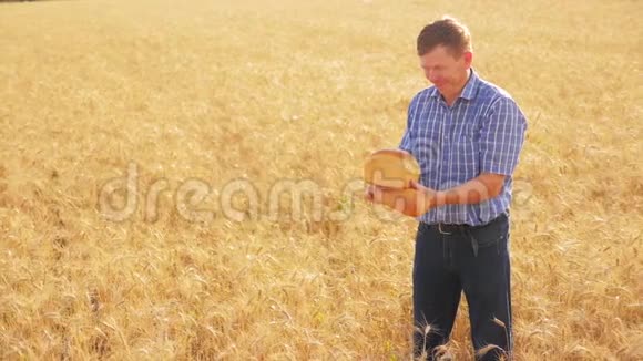 老农夫面包师拿着一个金色的面包和面包在成熟的麦田慢动作视频生活方式收获时间老了视频的预览图